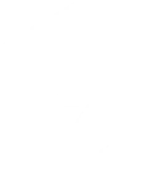 EvolveX 